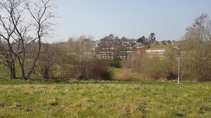 Albany Road Park