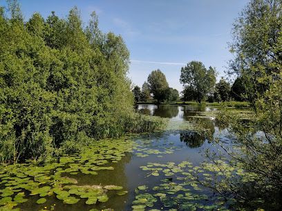 Bolton ponds fisheries