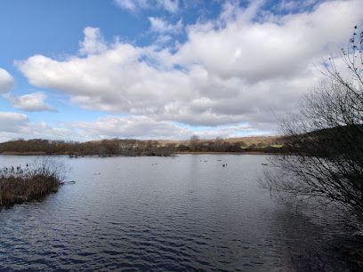 Denaby Ings Nature Reserve