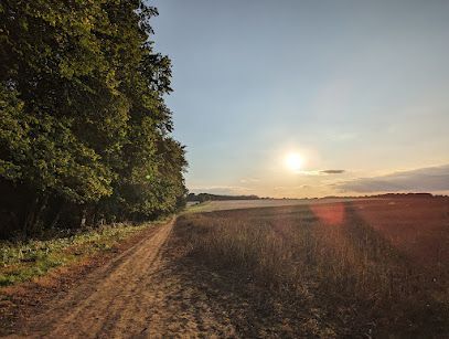 Swinston Hill Wood